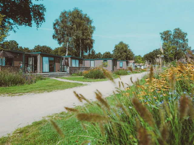 Chalets langs een groene laan op De Boshoek