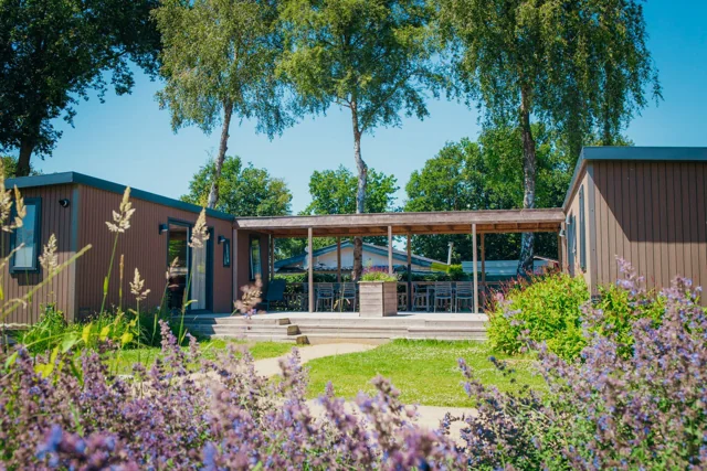Familielodge met terras en groen rondom — Recreatiepark De Boshoek