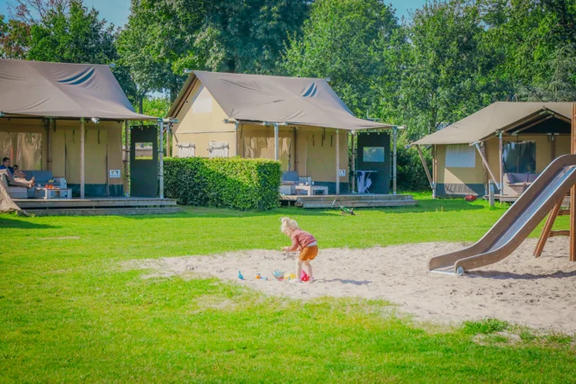 Safaritenten aan een grasveld met speelplek