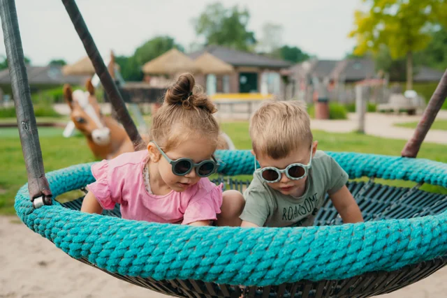 Kinderen spelen samen op de nestschommel