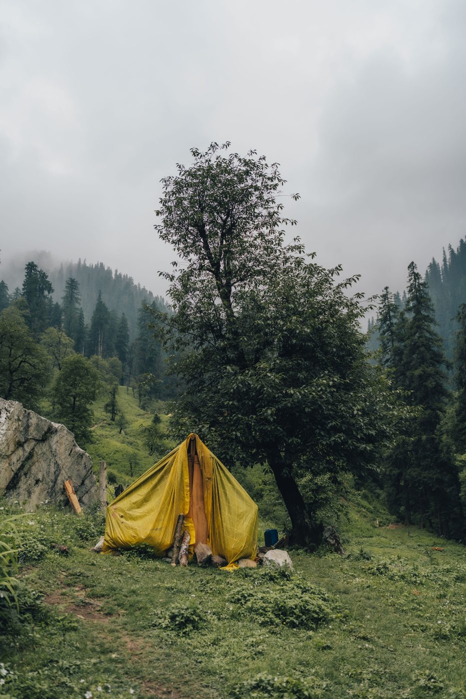 Gecontroleerde camping