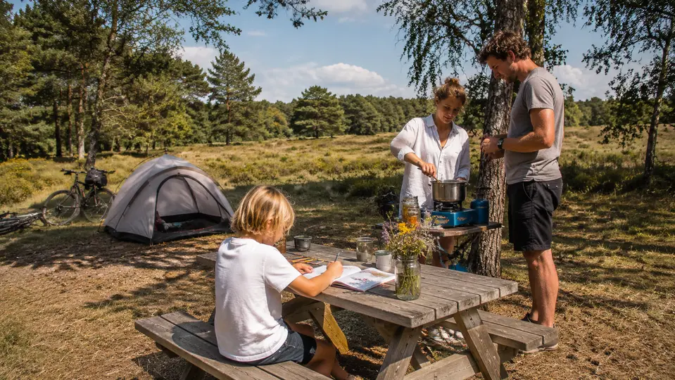 Campings met natuur vergelijken