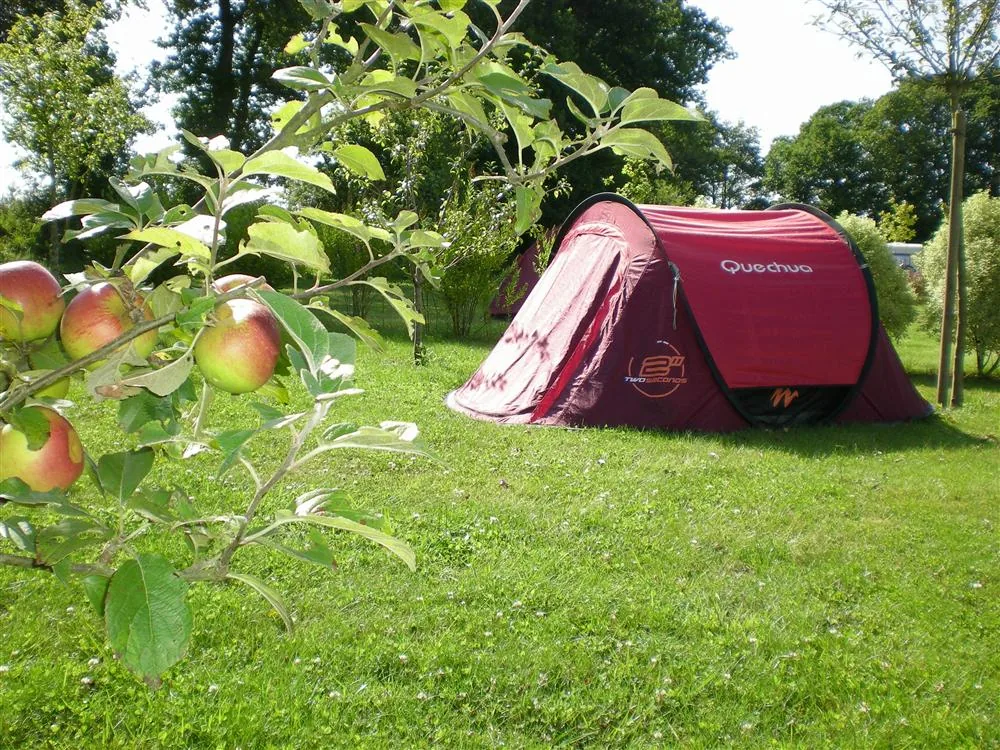 Een rode tent op een groene kampeerplaats met fruitbomen in Frankrijk