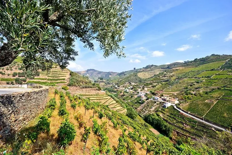 Foto uit het officiële partneraanbod van ACSI Reizen: Grand Tour Portugal