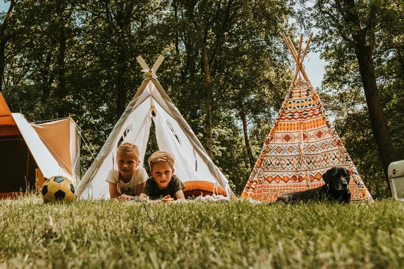 Beerzebulten.nl: Comfortplaats met huisdier