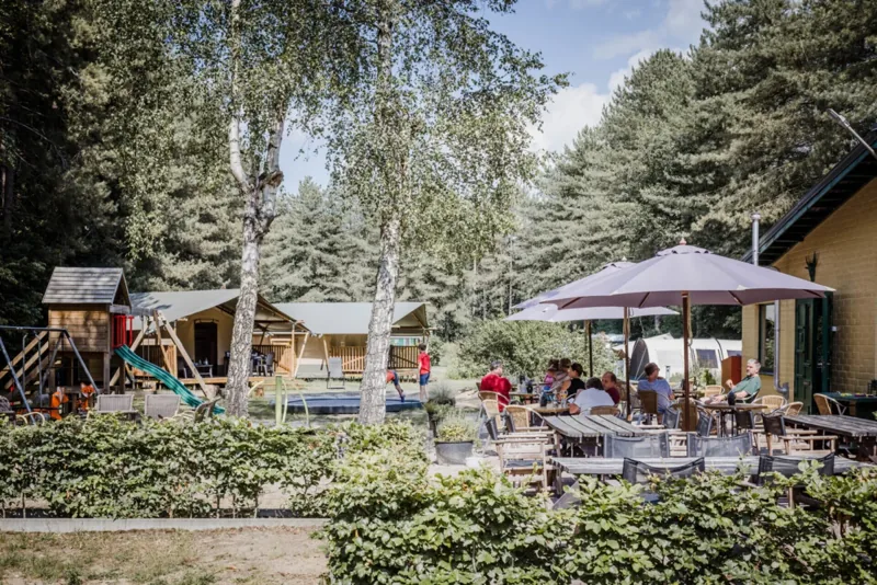 Foto uit het officiële partneraanbod van Vodatent.com: Safari tent