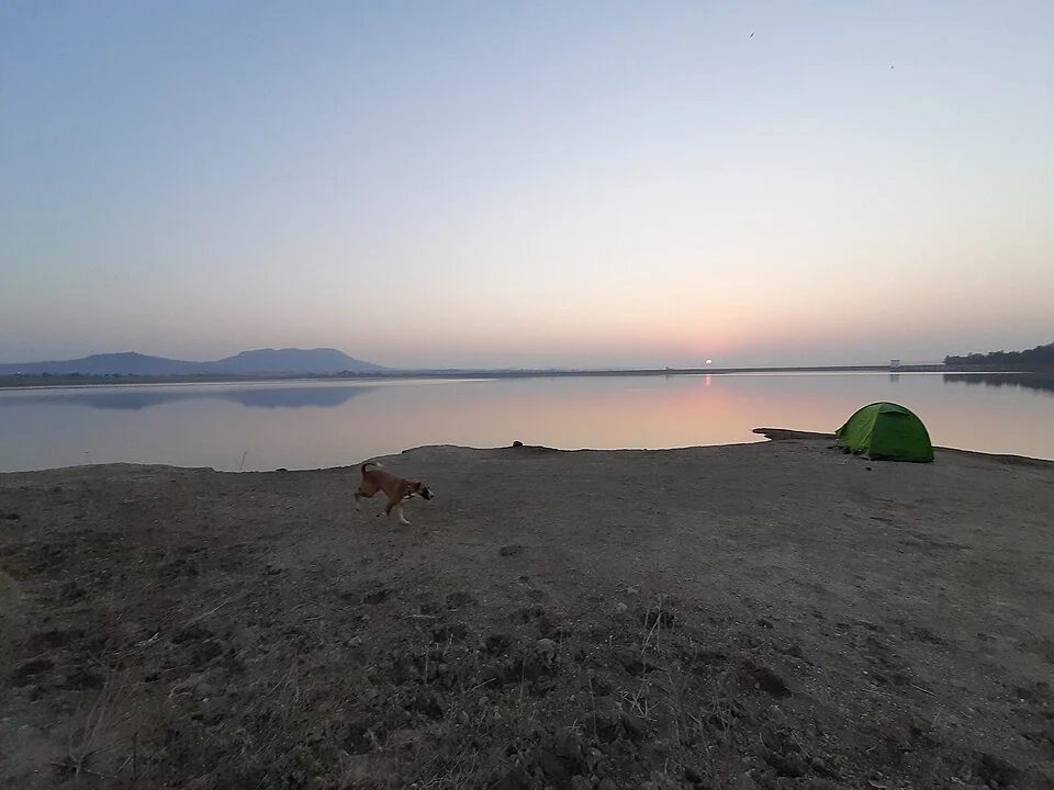 Een hond bij een kampeertent aan het water bij zonsondergang