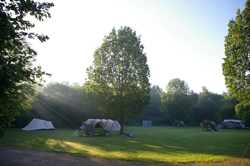 Tenten in het ochtendlicht op natuurkampeerterrein Dasselaar